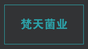 食品行业盐城大丰区工作服设计款式